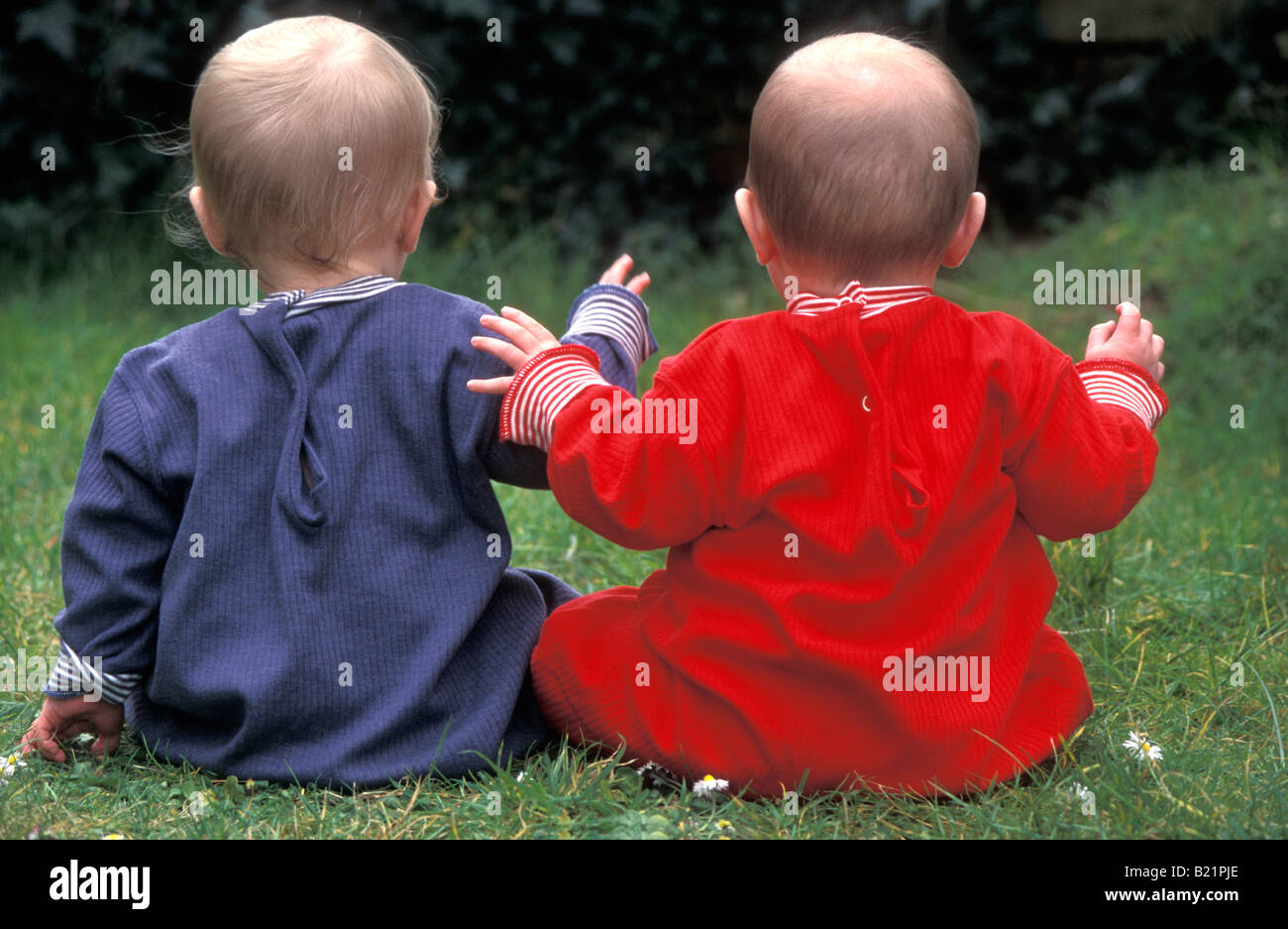 twin babies sitting with backs to camera Stock Photo