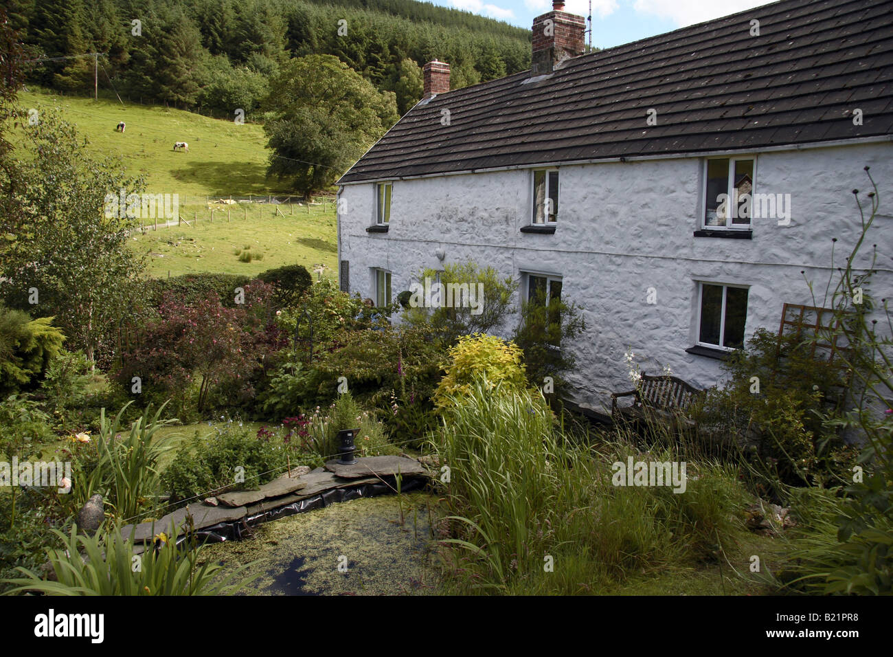 Rural cottage and garden near Llandegla Denbighshire Stock Photo