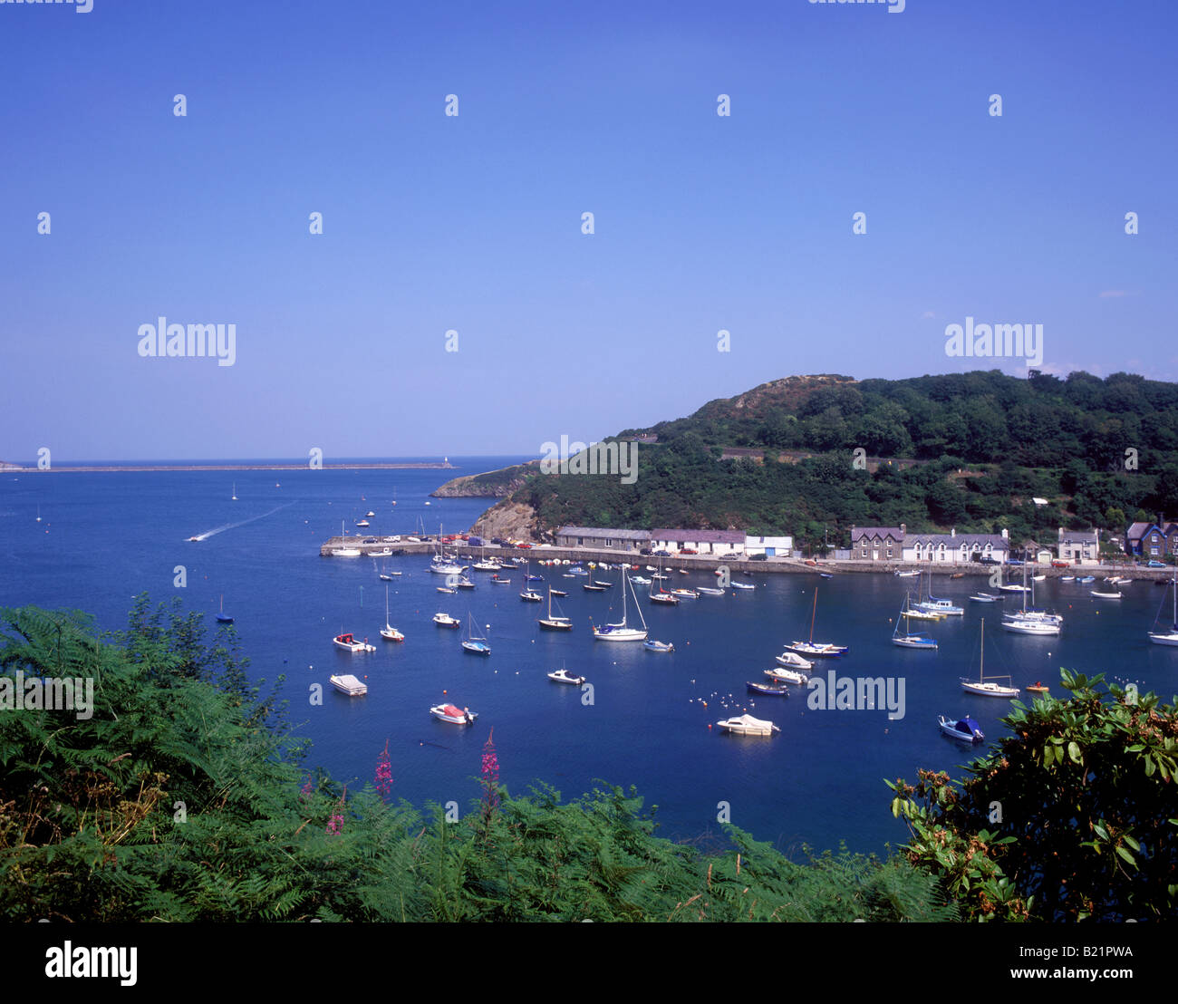 View over Fishguard harbour Stock Photo Alamy