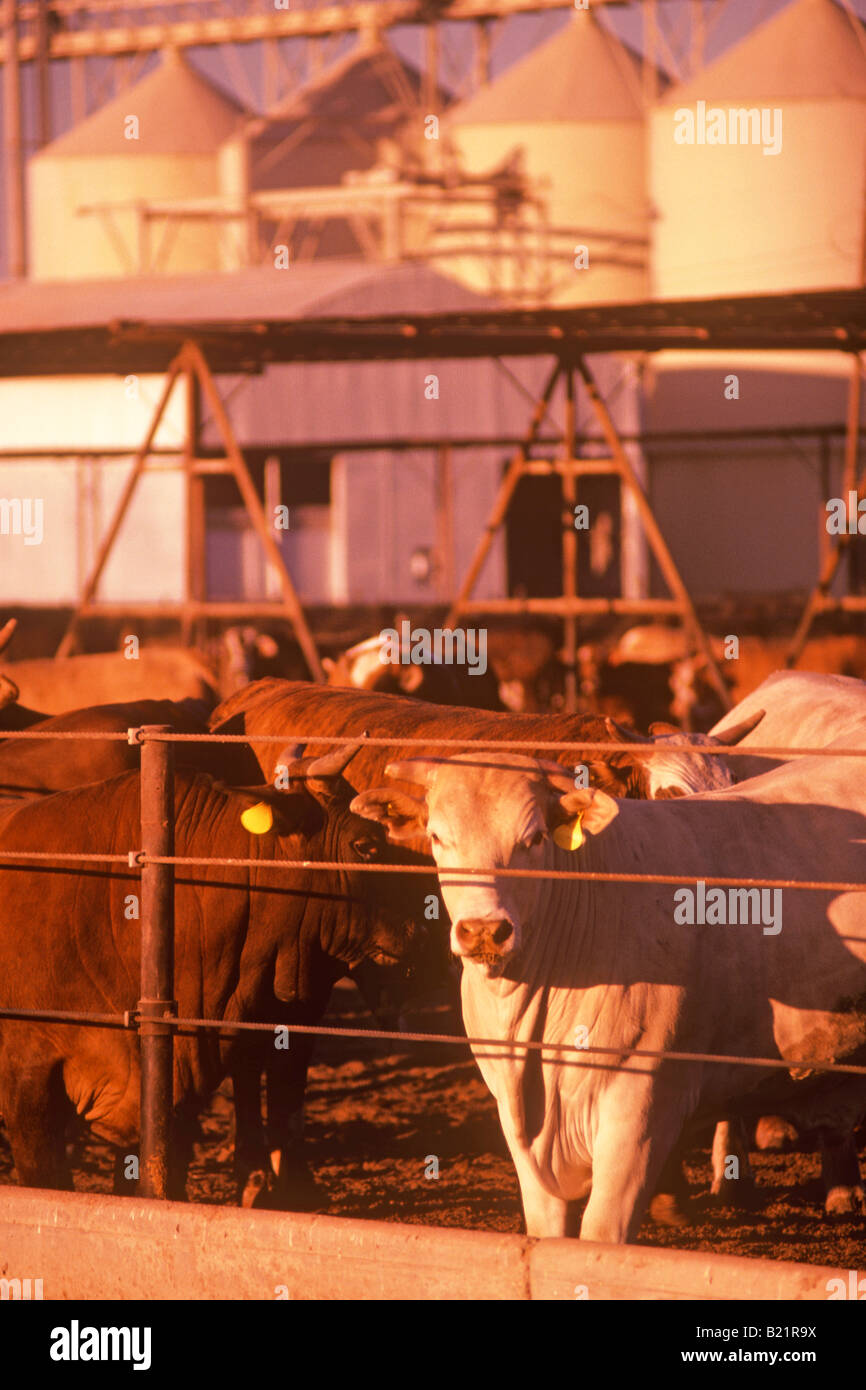 Imperial Valley Farm High Resolution Stock Photography and Images Alamy