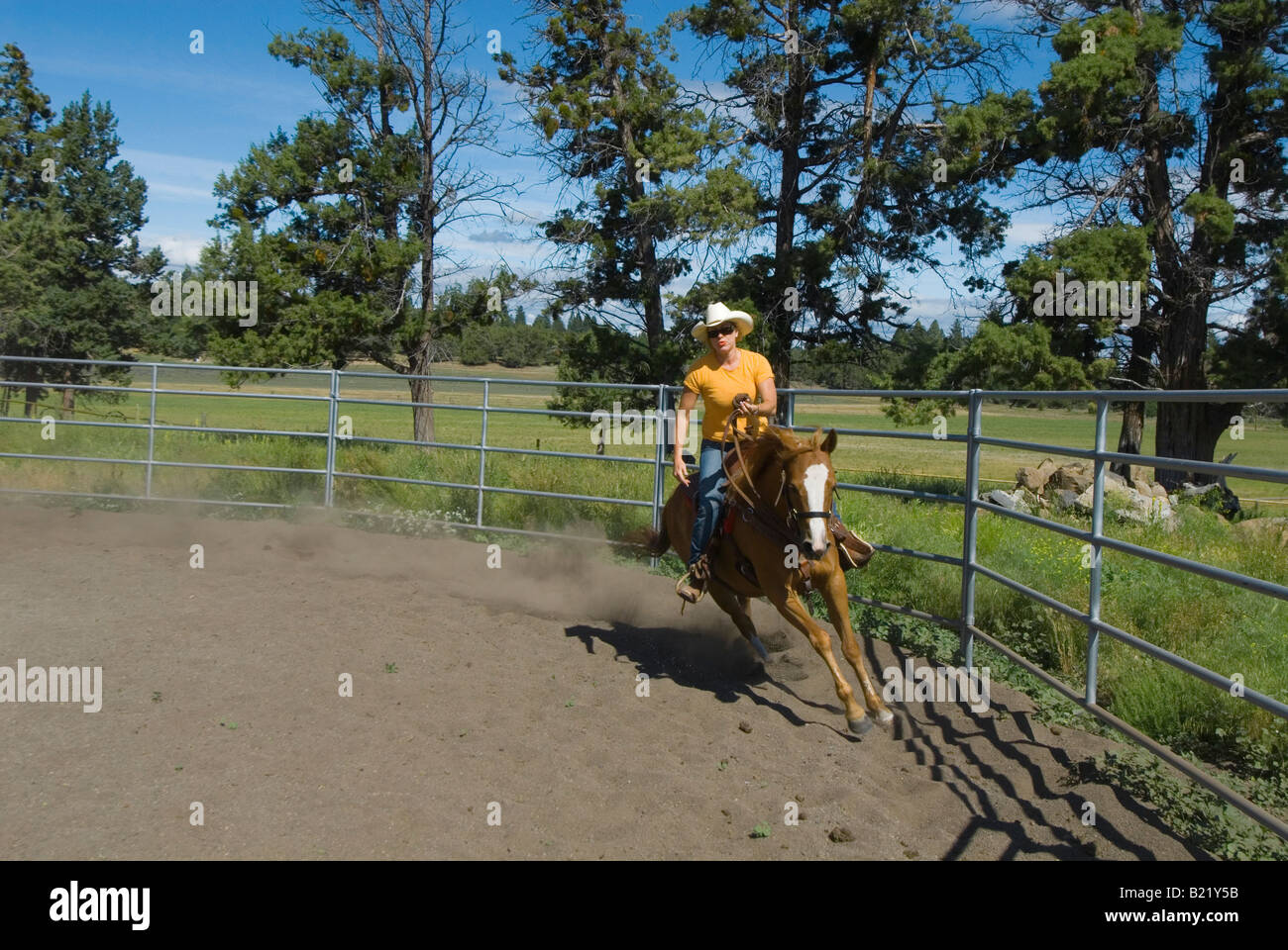Cowgirl working horse in training ring Bend Oregon Stock Photo Alamy