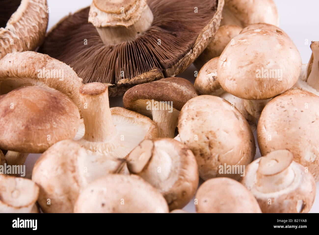 Brown Cremini, Shiitake, Portobello Mushrooms Stock Photo Alamy