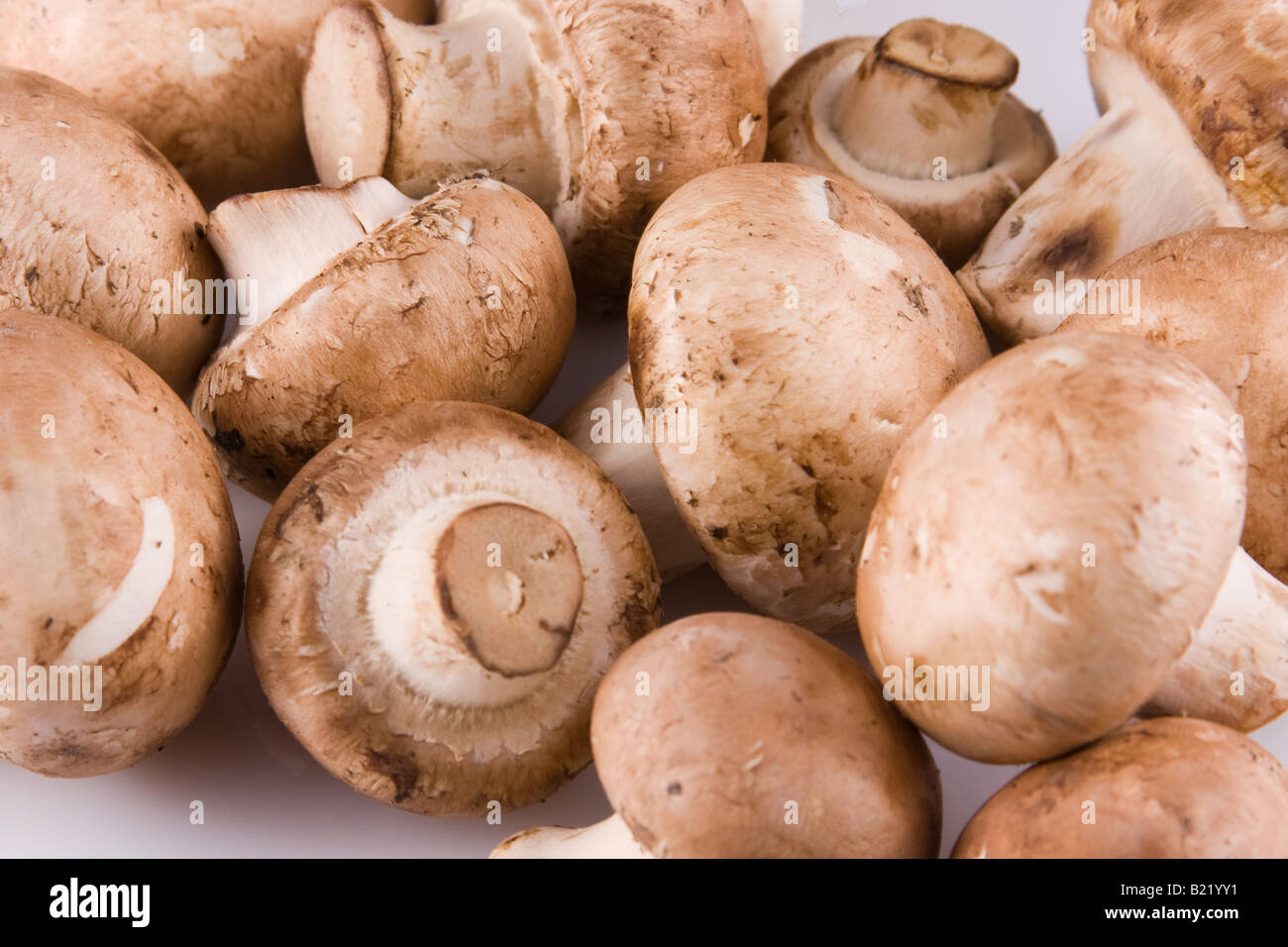 Brown Cremini Mushrooms Stock Photo Alamy