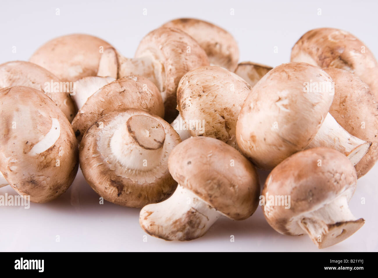 Brown Cremini Mushrooms Stock Photo Alamy