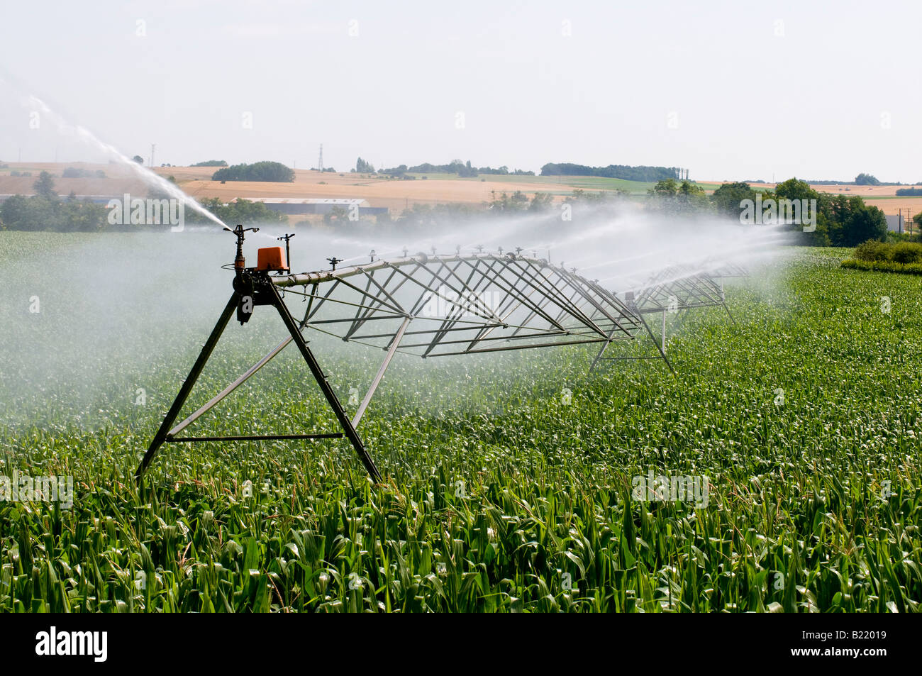 Maize / sweet corn irrigation system, Vienne, France Stock Photo Alamy