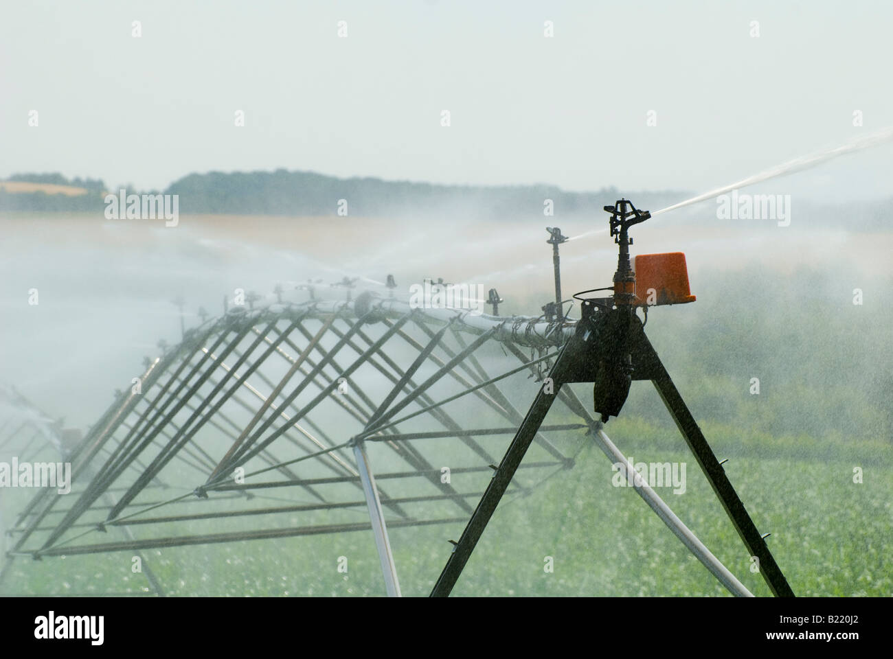 Maize / sweet corn irrigation system, Vienne, France. Stock Photo