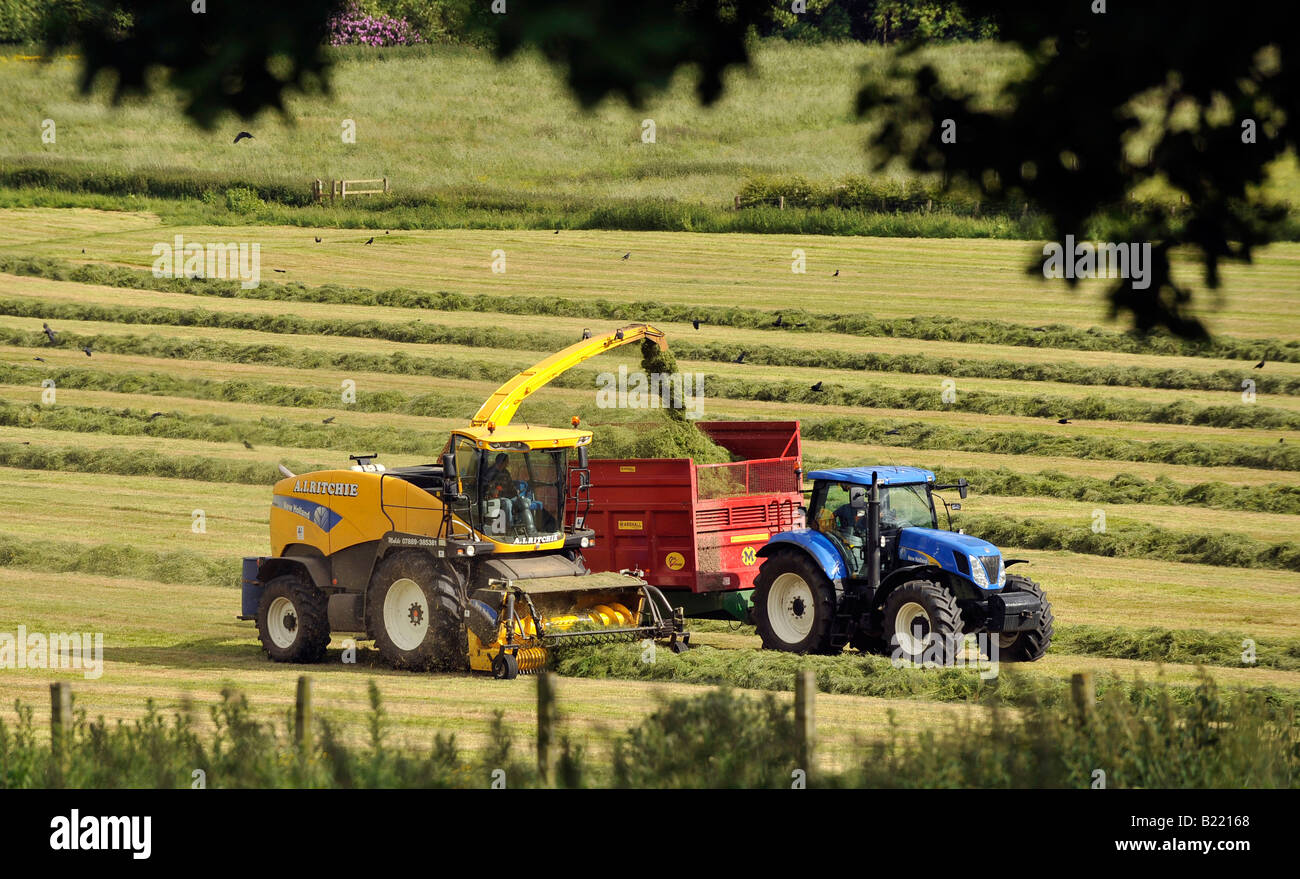 A self propelled New Holland forage harvester collects cut silage and discharges it into the silage trailer Stock Photo