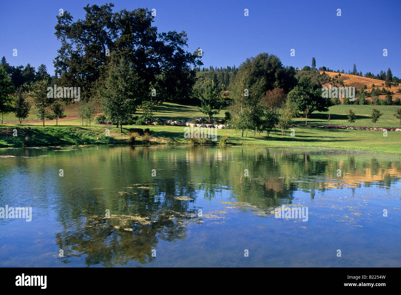 Pond at Ironstone Vineyards near Murphys Calaveras County California