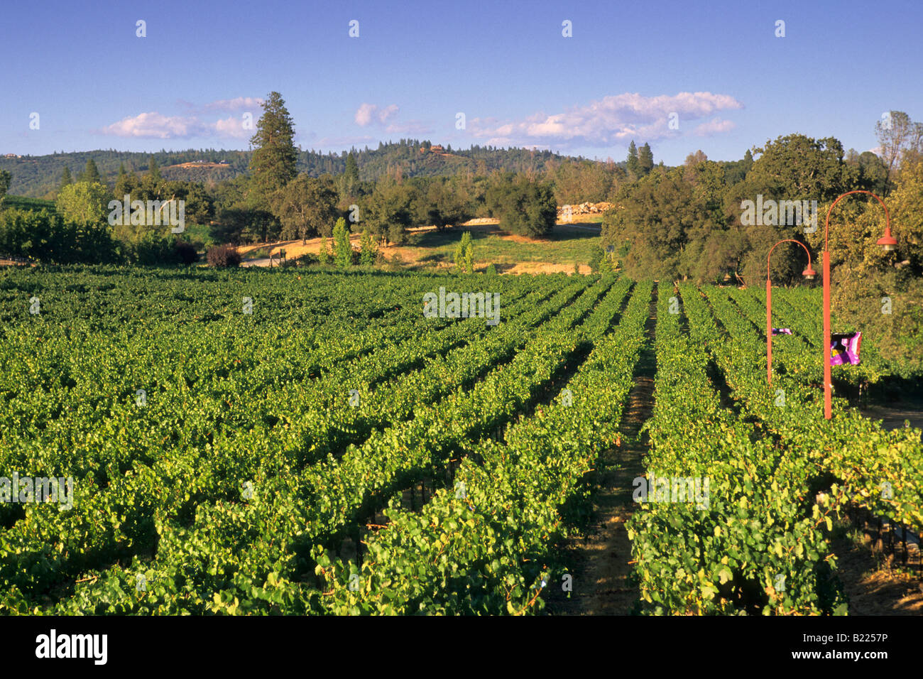 Ironstone vineyards hires stock photography and images Alamy