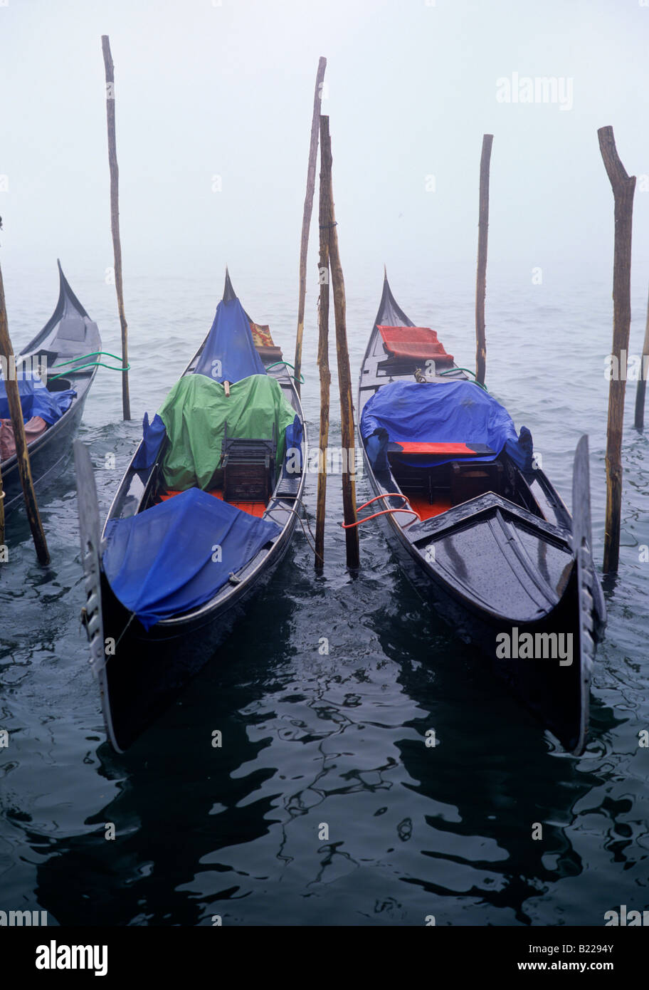 Gondolas moored in the Grand Canal on a misty morning Stock Photo