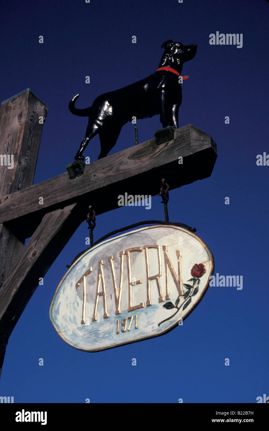 Black Dog tavern Martha s Vineyard MA Stock Photo Alamy