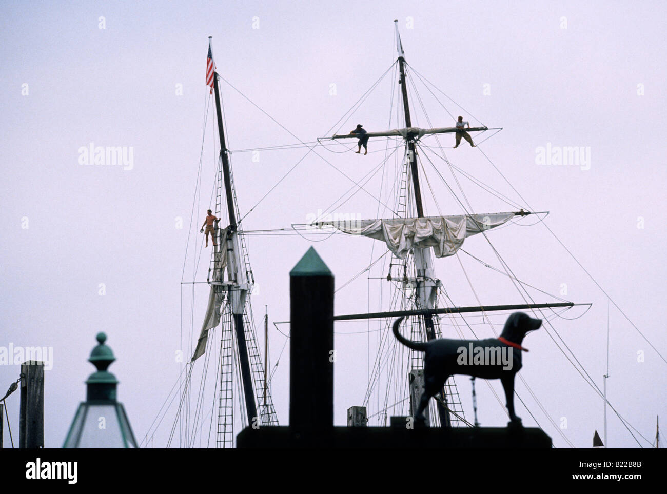 Black Dog Tavern Martha s Vineyard MA Stock Photo Alamy