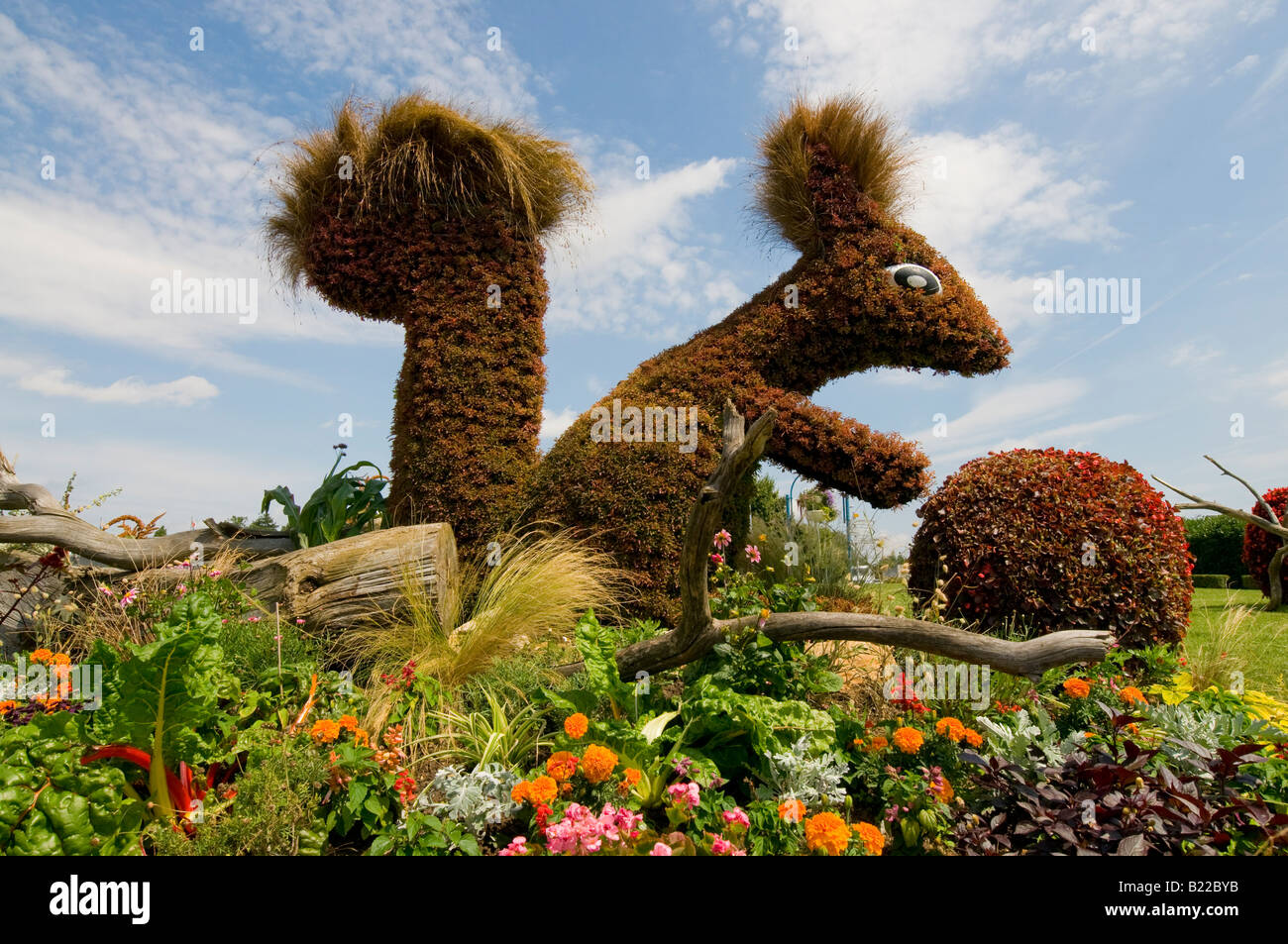 Box hedging topiary effigy of squirrel on roundabout, Descartes, Indre-et-Loire, France. Stock Photo
