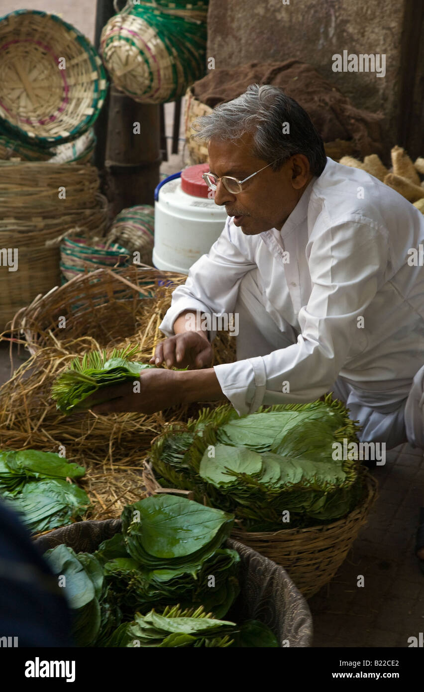 An INDIAN MERCHANT wraps BEETLE NUT in leaves in the SPICE MARKET of CHANDNI CHOWK OLD DELHI INDIA Stock Photo
