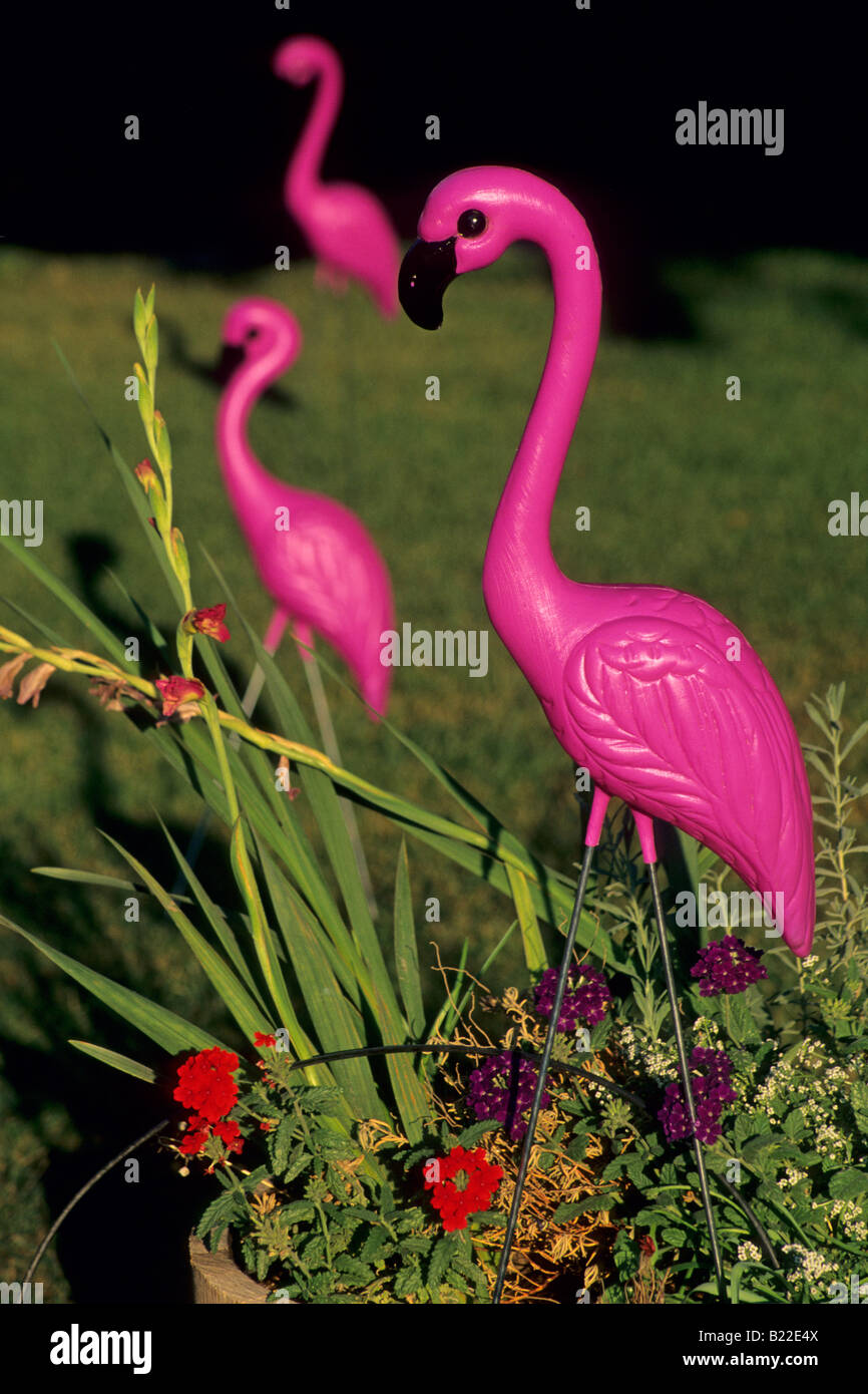 Plastic garden flamingoes at Steele Winery near Kelseyville Lake County California Stock Photo