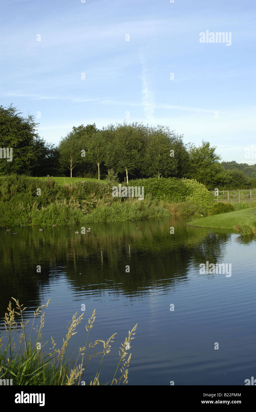 reflections in a lake Stock Photo - Alamy