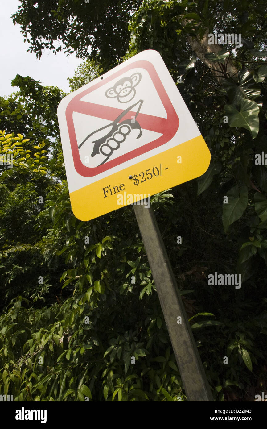 do not feed the monkeys Stock Photo - Alamy