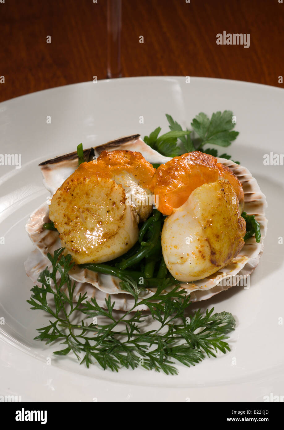 Queen Scallops served in shell Stock Photo Alamy