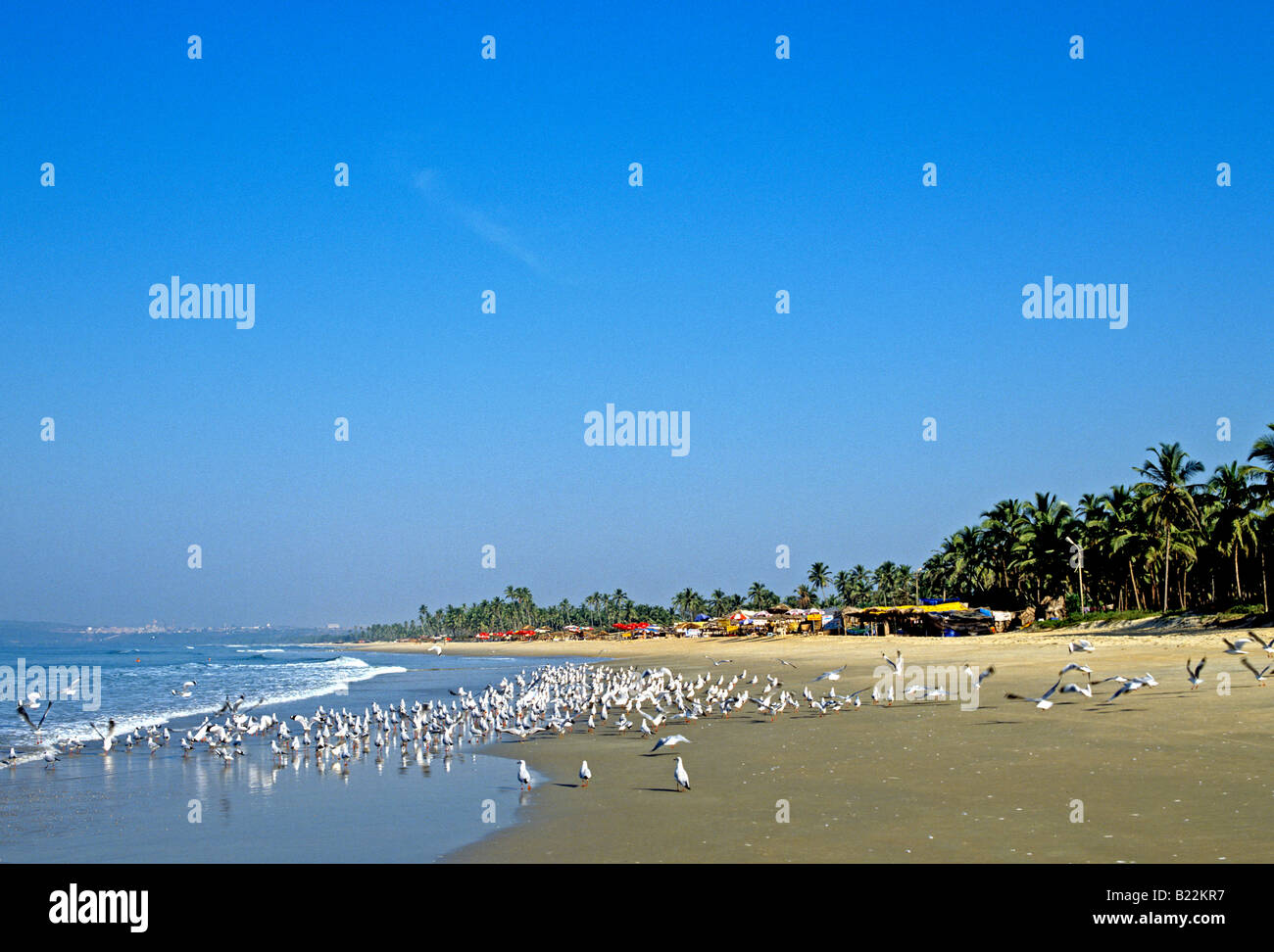 1011 Majorda Beach Goa State India Stock Photo