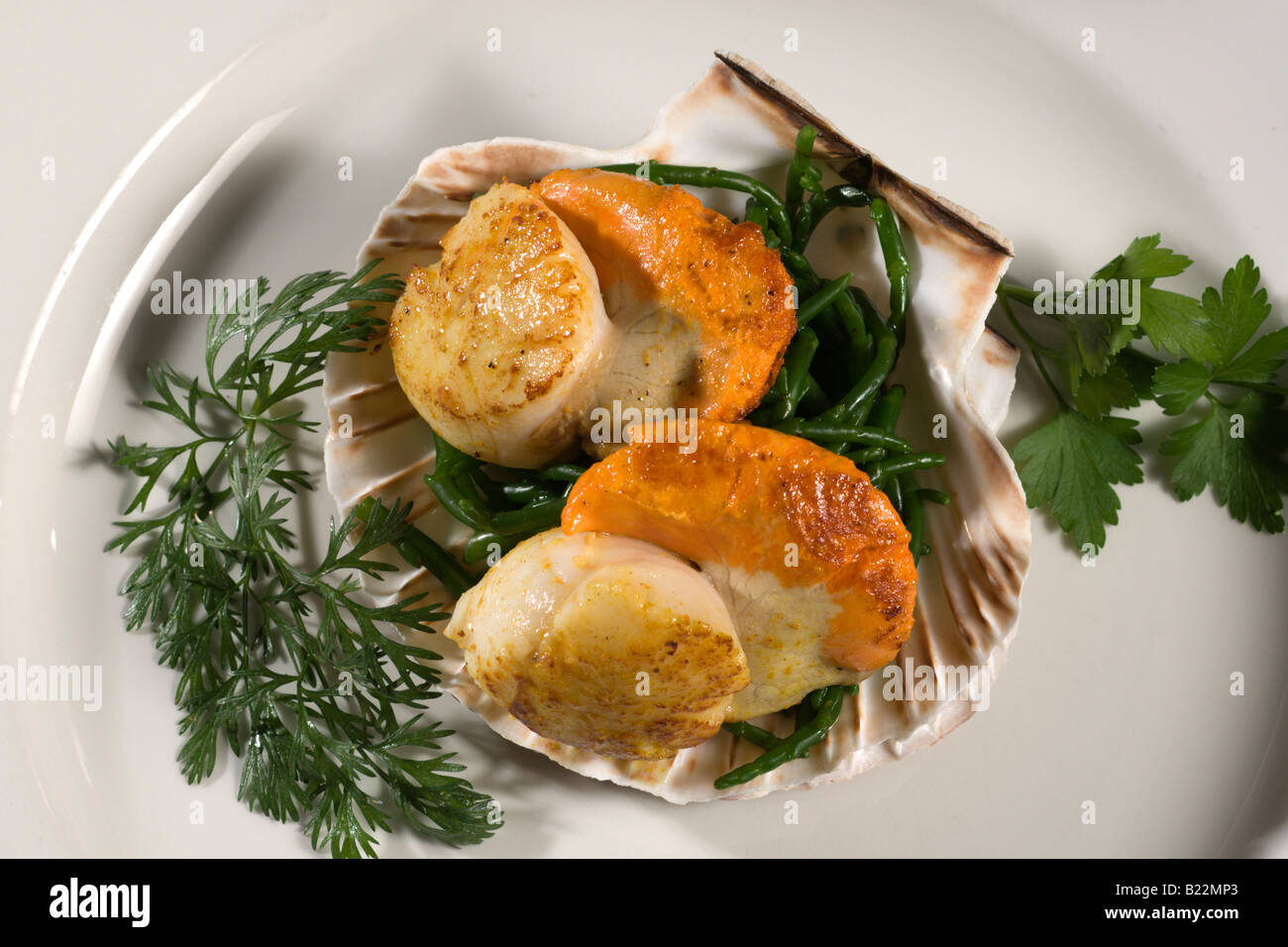 Queen Scallops served in shell Stock Photo Alamy