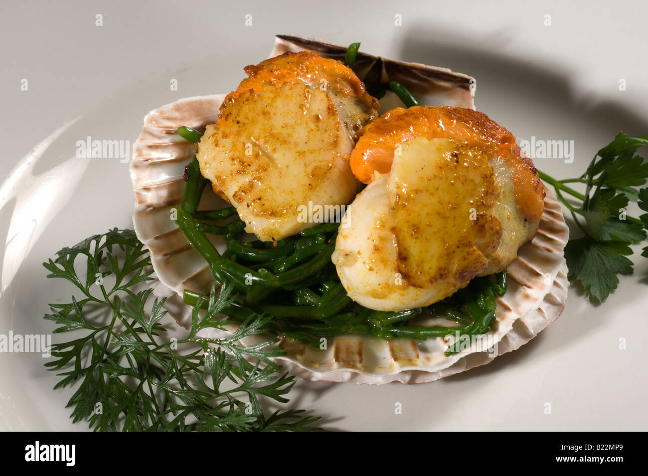 Queen Scallops served in shell Stock Photo Alamy