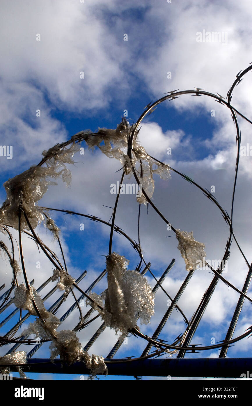 Razor wire on a fence in northern England. Plastic hangs in the