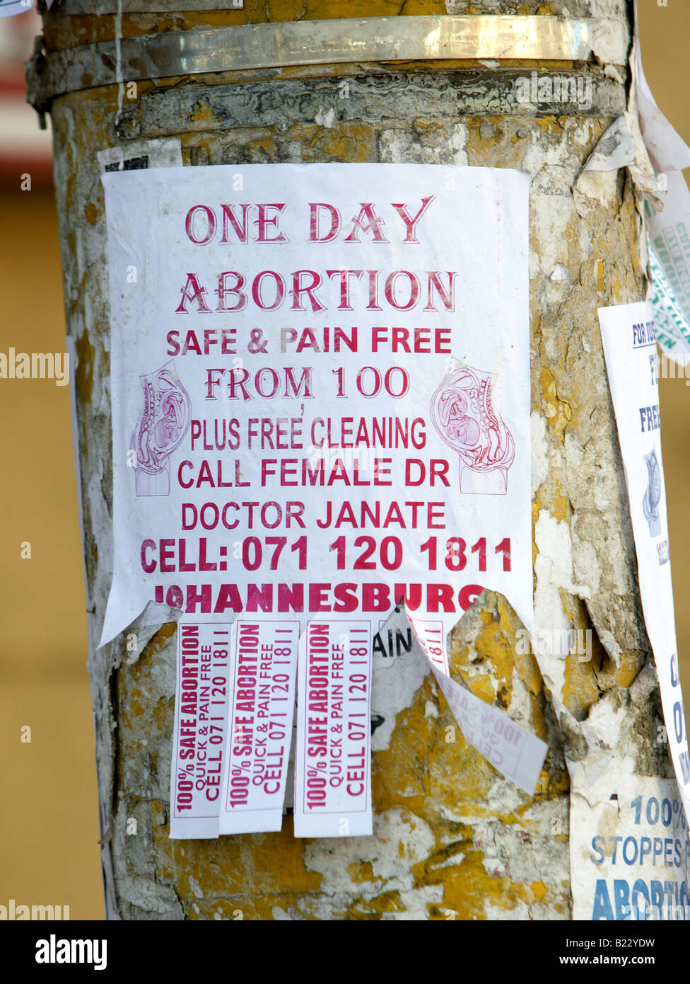 South Africa: leaflet on a tree in Johannesburg promoting reasonable abortion from 100 RAND (approximately 9,00 Euros) Stock Photo