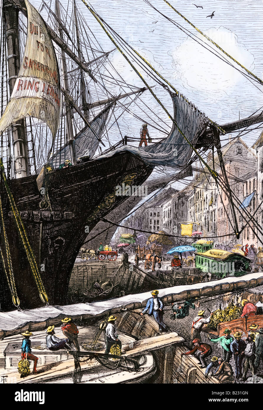 Unloading bananas from a cargo ship New York City 1870. Hand-colored woodcut Stock Photo