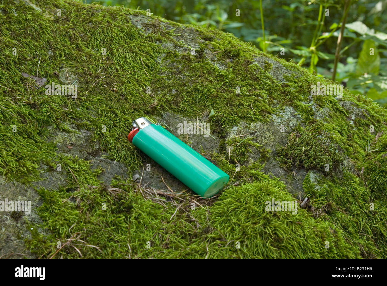 disposable lighter on mossy rock Stock Photo Alamy