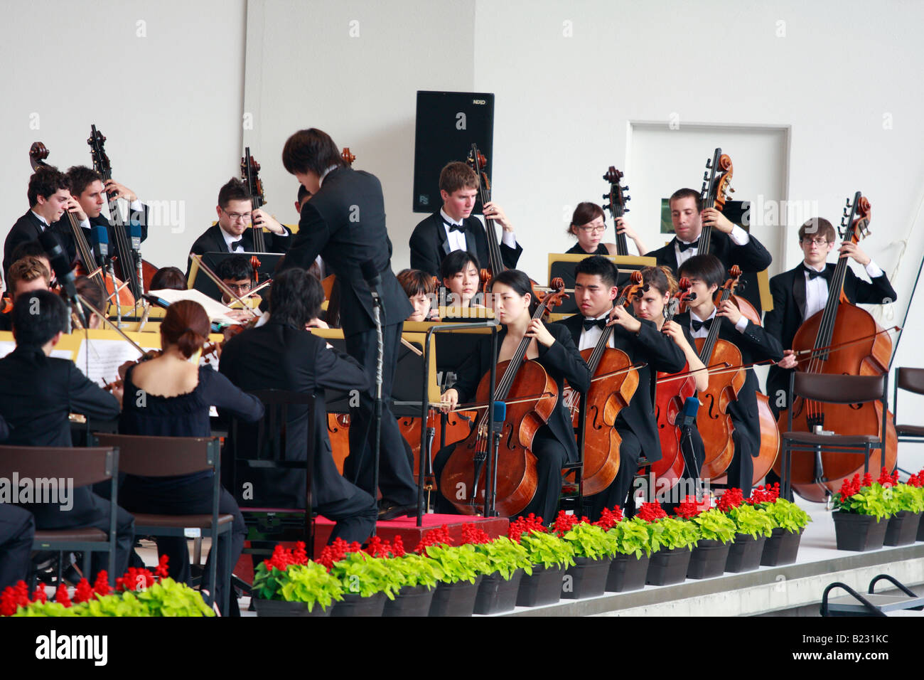 A string section of an orchestra at the Pacific Music festival in Sapporo, Japan. Stock Photo