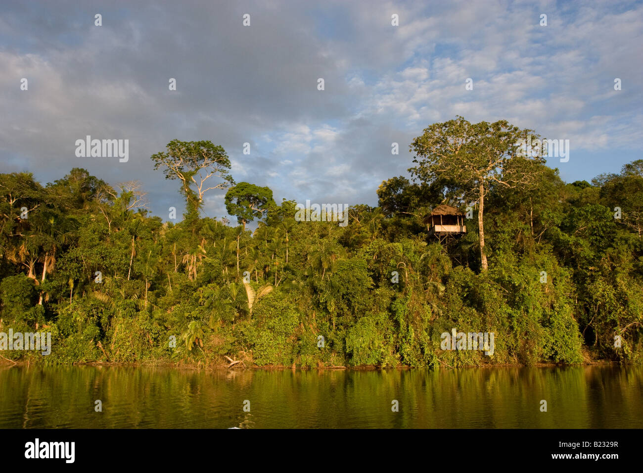 Amazon Jungle at Lake Sandoval in Peru Stock Photo - Alamy