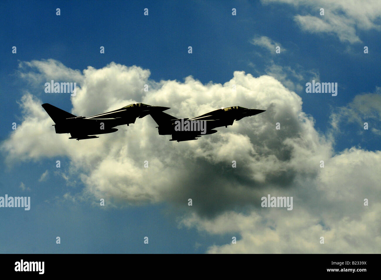 Eurofighter Typhoon, multinational twinengine, canard delta wing