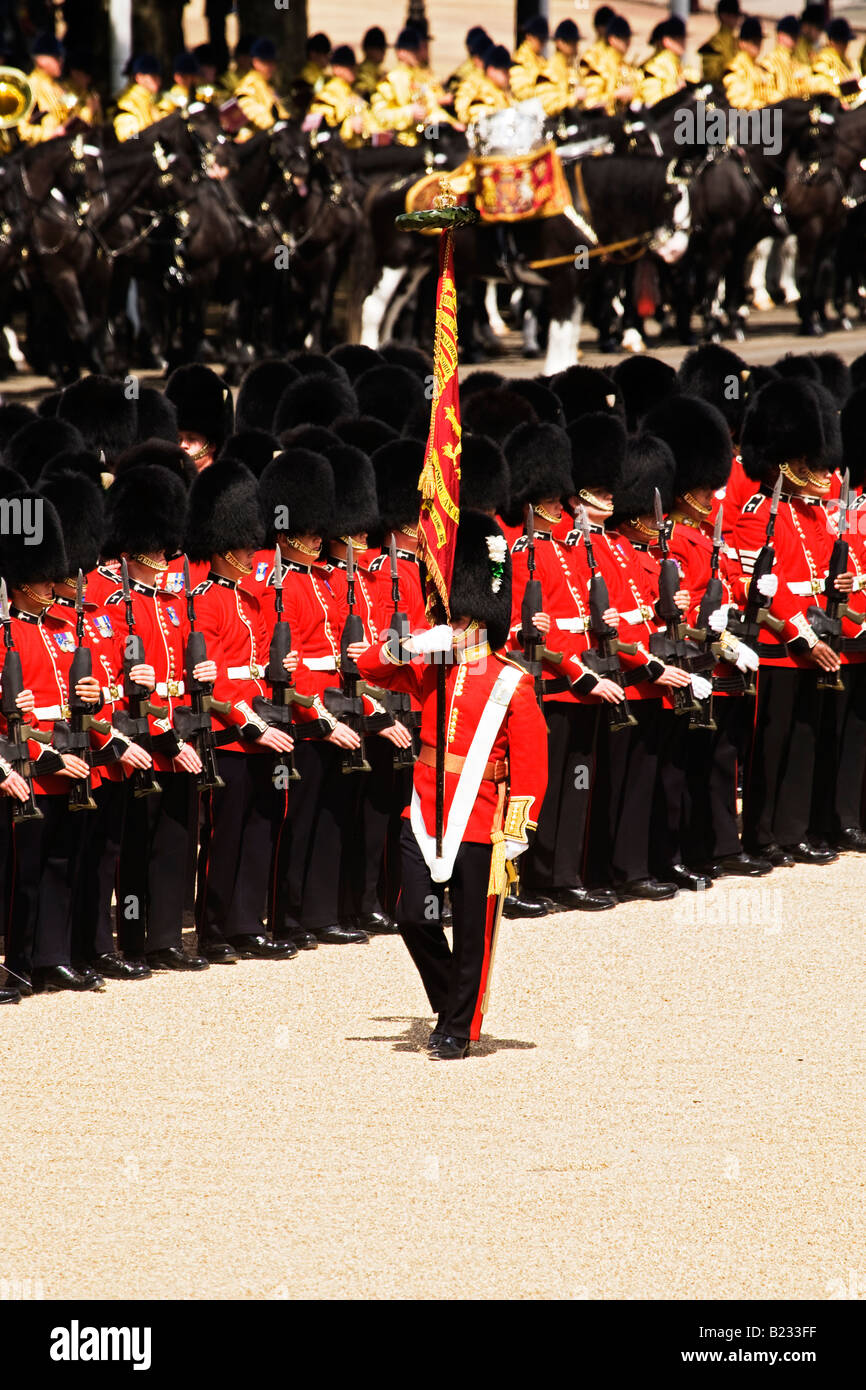 Trooping the colour flag hi-res stock photography and images - Alamy