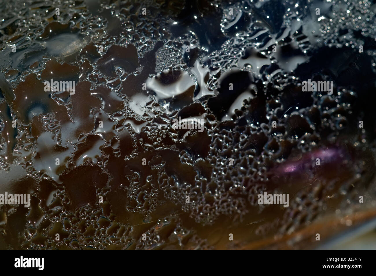 Close up water bubbles and condensation in a beverage bottle Stock ...