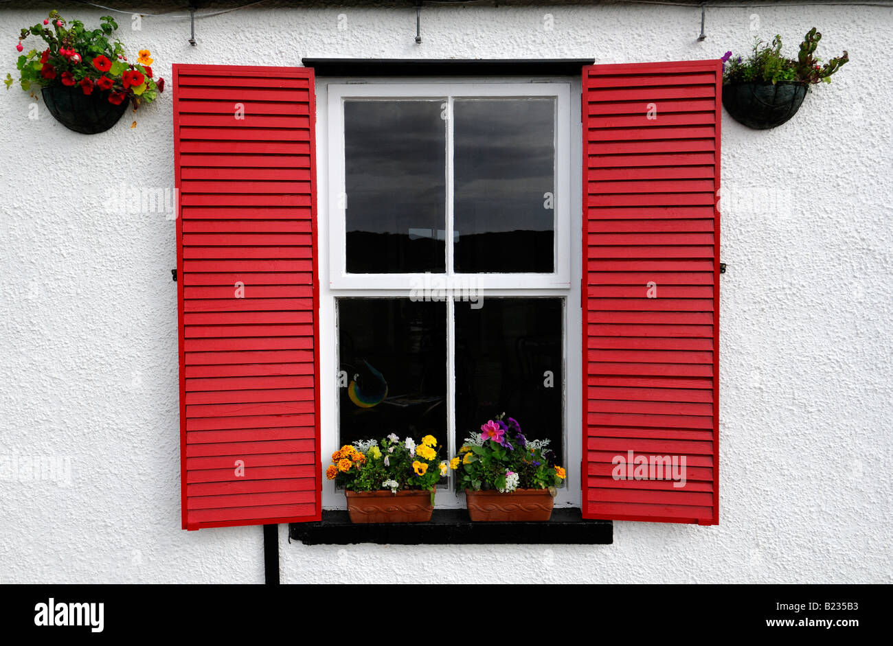 Red storm shutters and a white window frame against a white stone wall cottage with hanging baskets and flower boxes Stock Photo