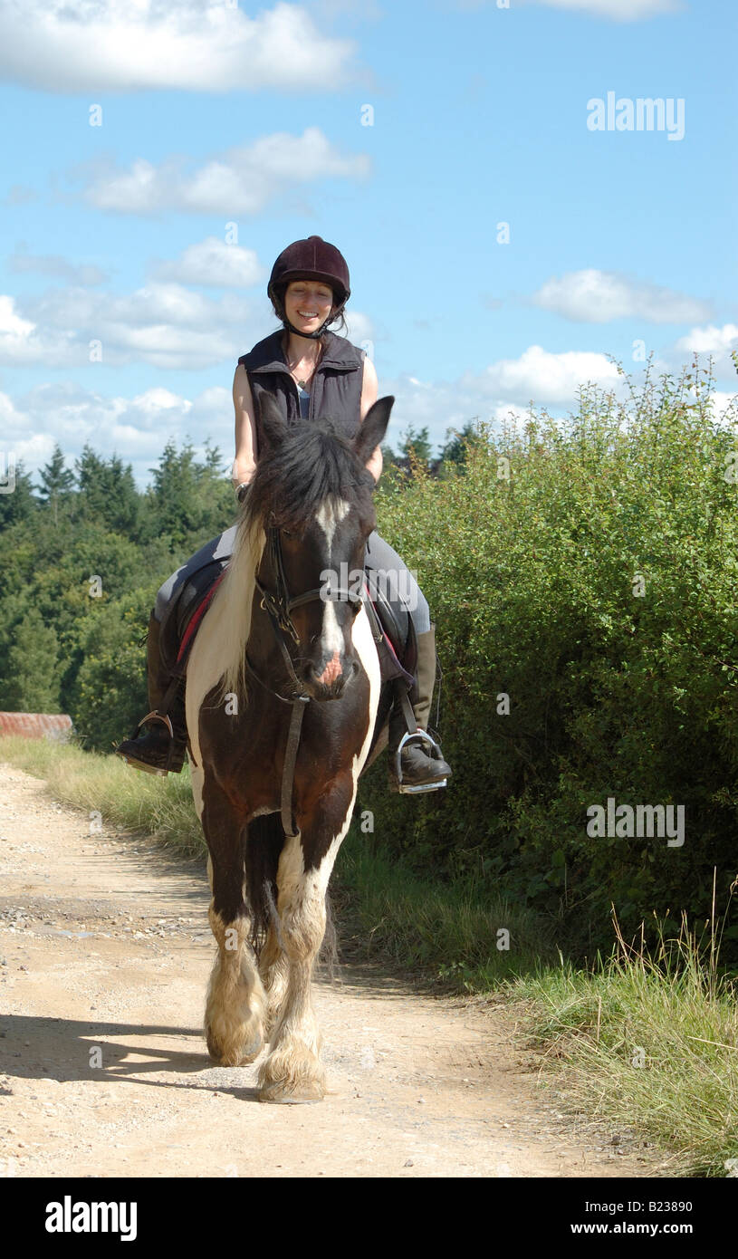 Hacking horse road hires stock photography and images Alamy