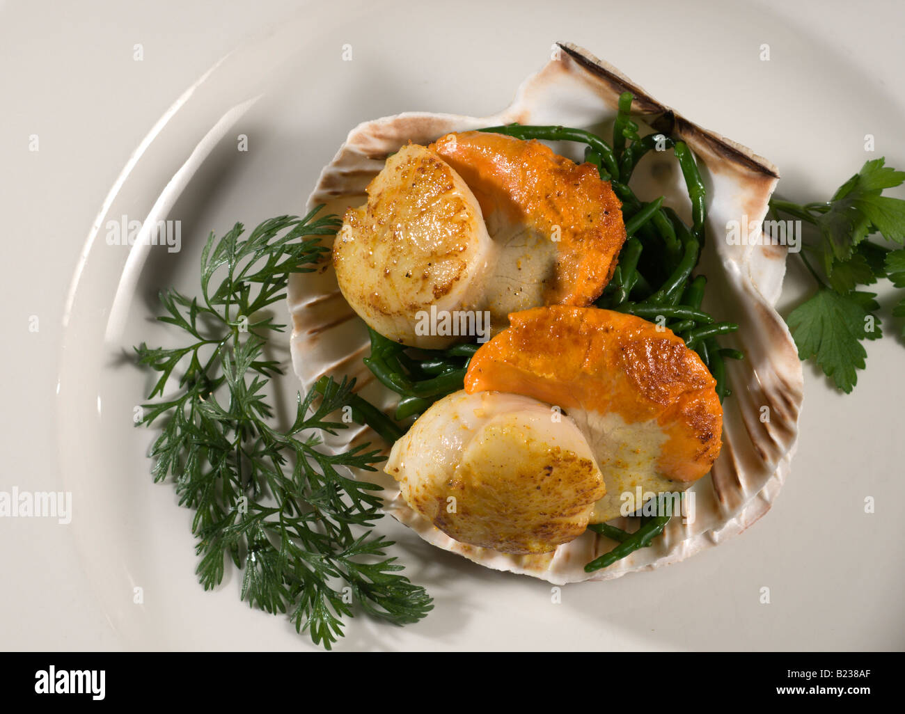 Queen Scallops served in shell Stock Photo Alamy