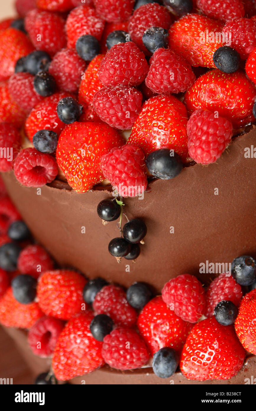 Luxury summer soft fruit cake made with fresh strawberry raspberry blueberry and black currant and chocolate Stock Photo