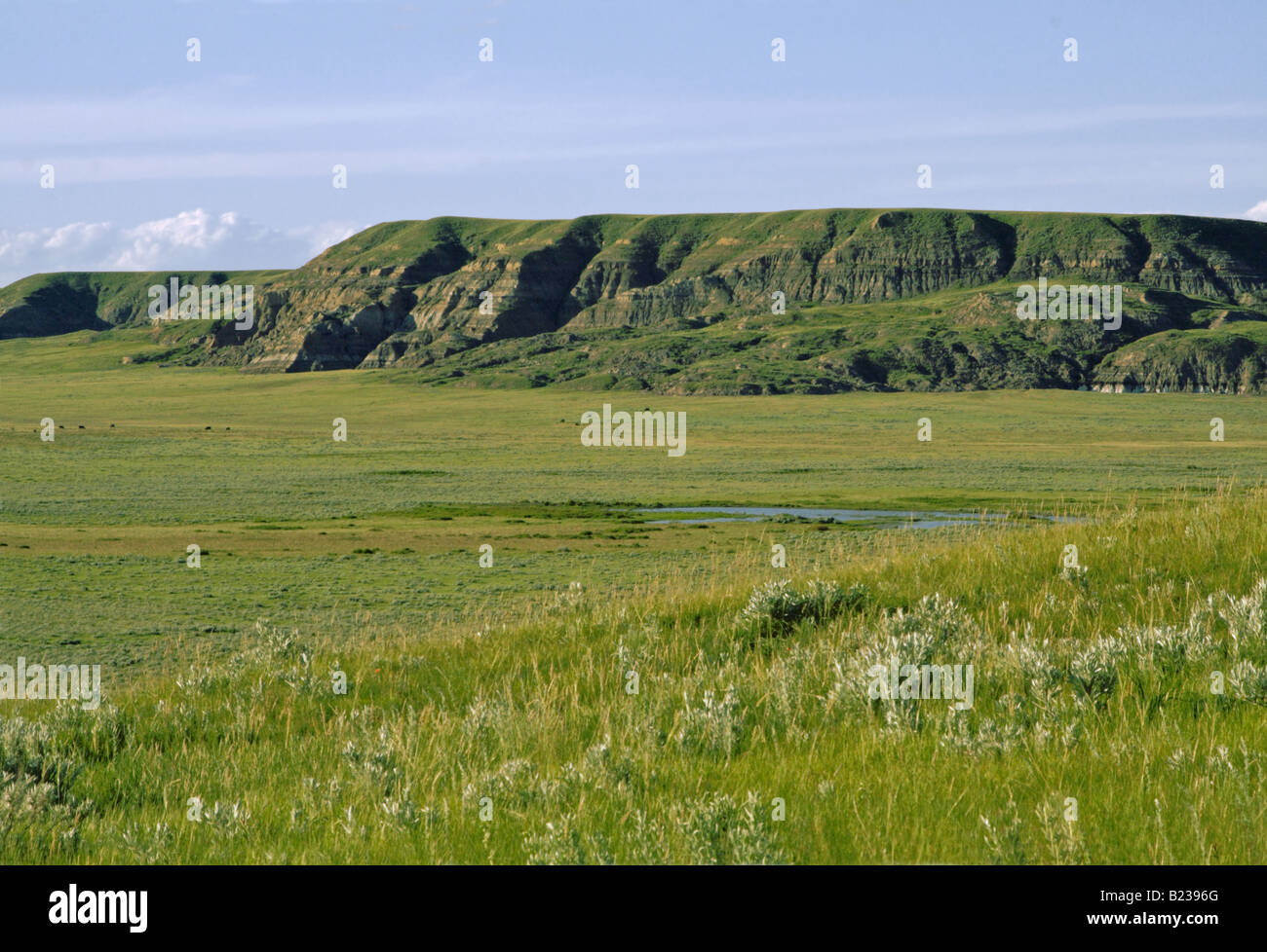 Big Muddy Valley in Saskatchewan Canada near Montana USA Stock Photo