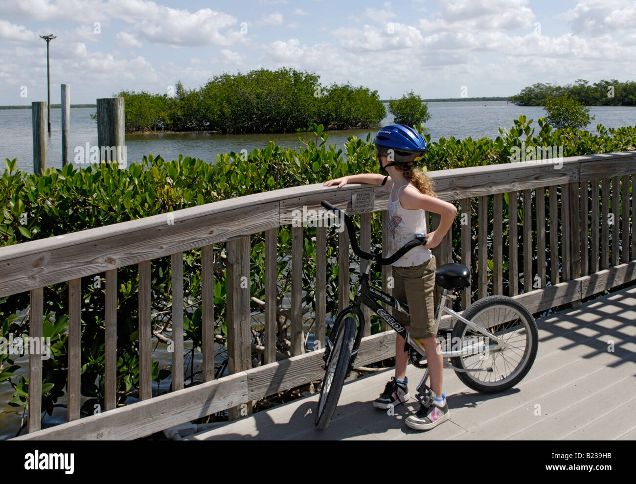 A girl looking at an osprey nest on a biking trip through J N Ding Darling National Wldlife Refuge Sanibel Island Florida Stock Photo