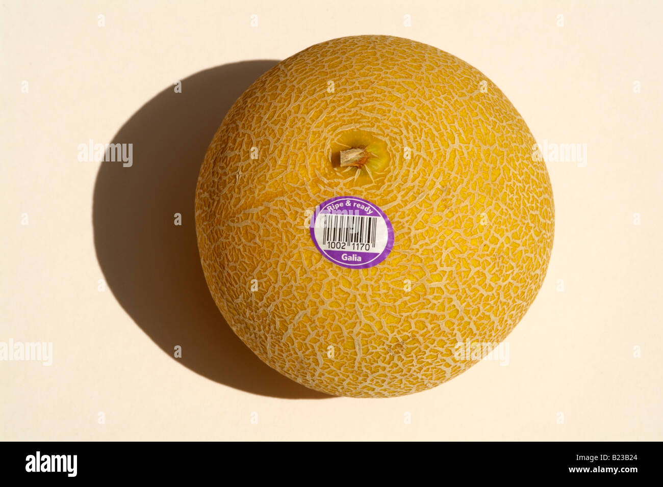 Galia melon with ripe and ready to eat sticker Stock Photo Alamy