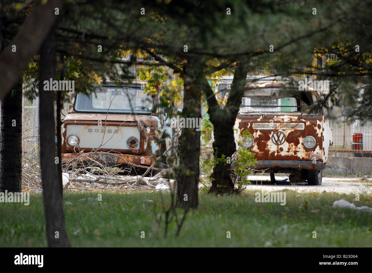 Trees in front of abandoned buses, Turkey Stock Photo