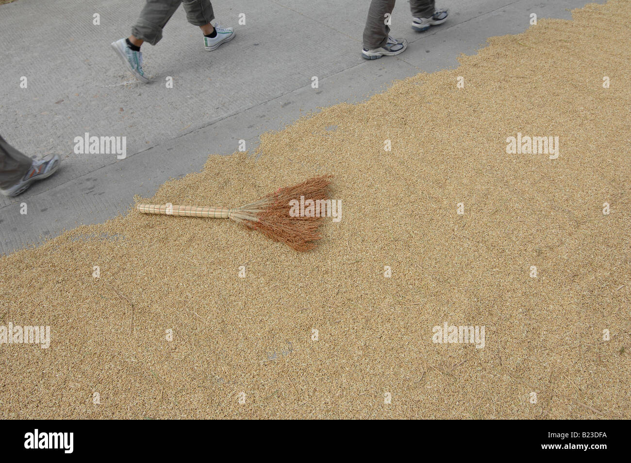 Broom on rice grains, Chengdu, Sichuan Province, China Stock Photo