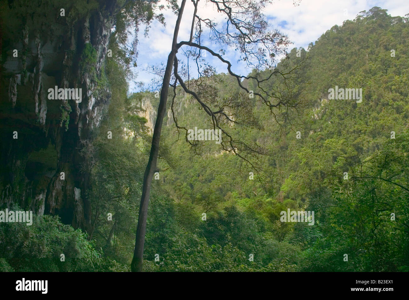 A view of Gunung Subis from inside the mouth of the Great Cave Niah Caves Niah National Park Sarawak Malaysia Stock Photo