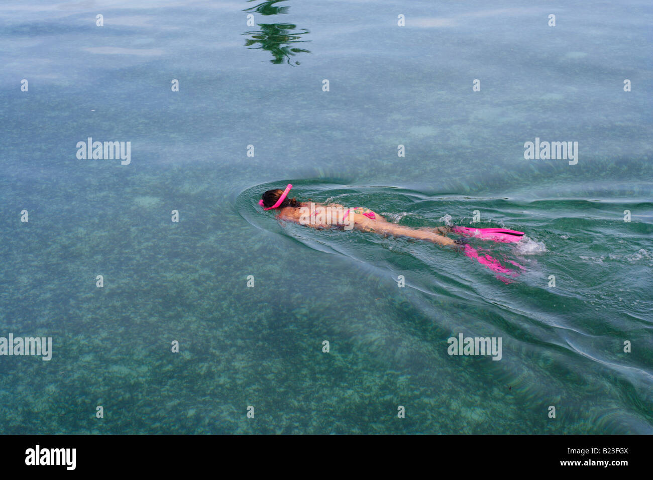 Snorkelling in the shallows over corals Mabul Island nr Sipadan Malaysia Stock Photo