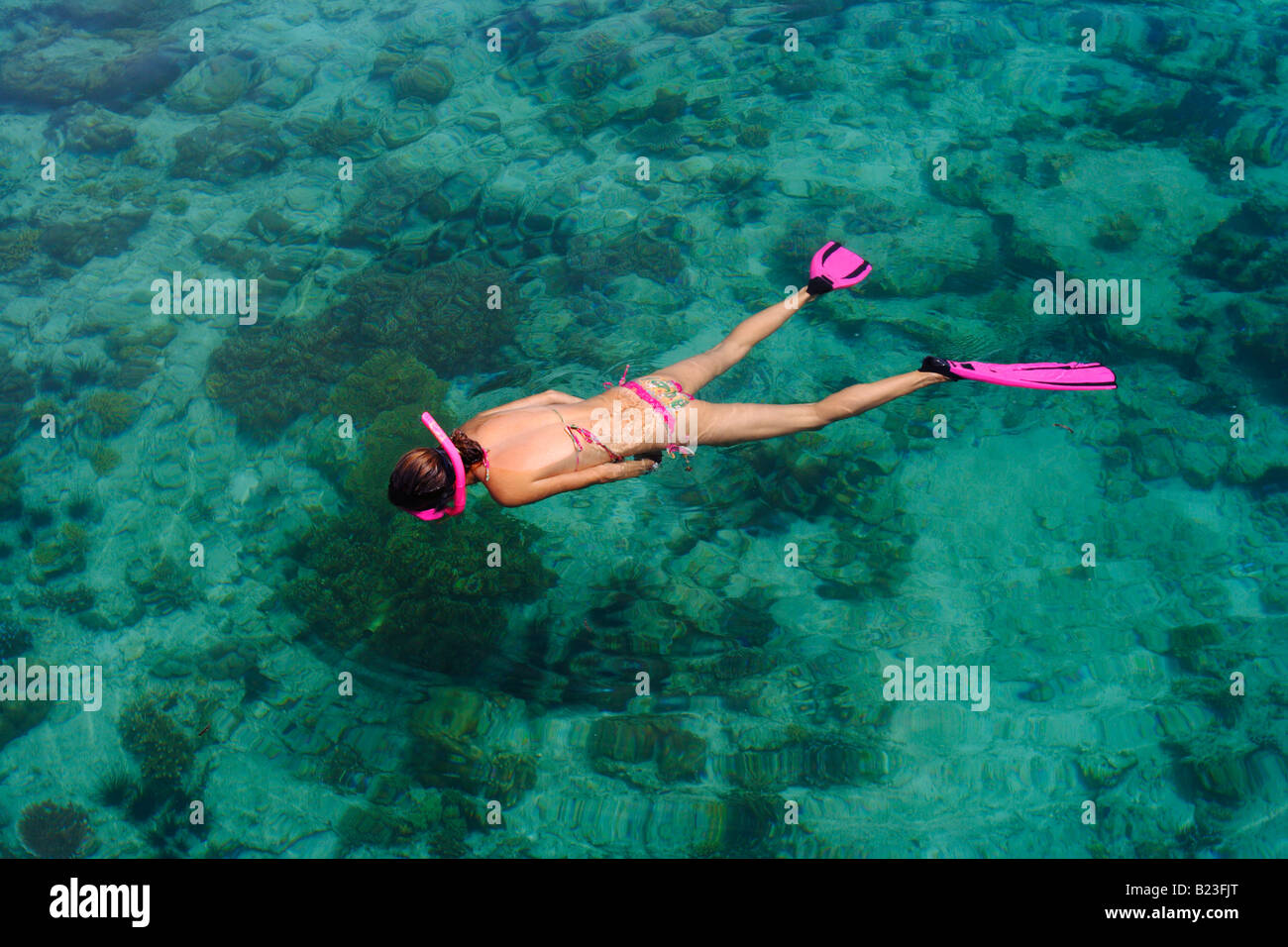 Snorkelling across corals in shallow water Mabul Island Sabah Malaysia Stock Photo