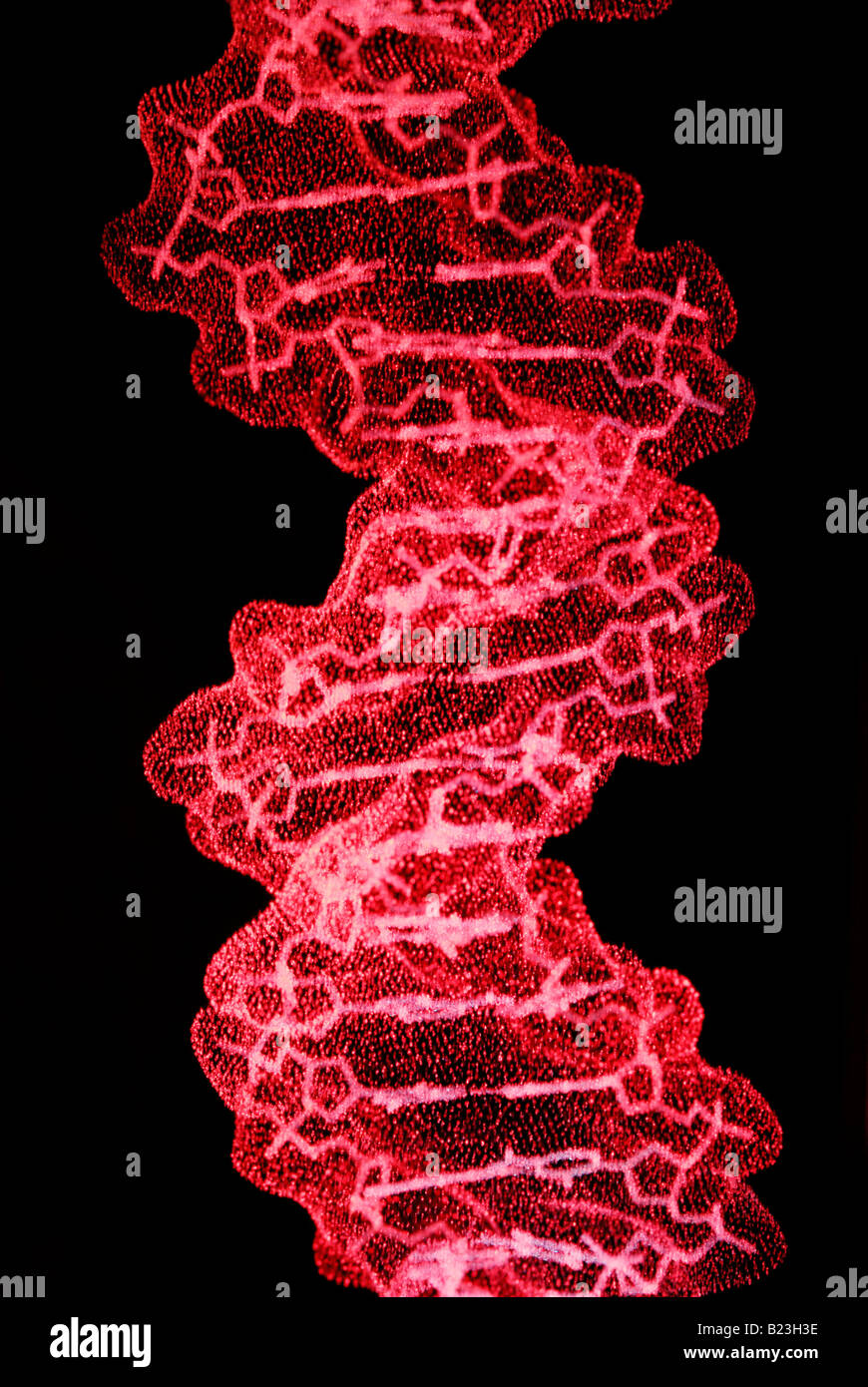 Dna double helix hi-res stock photography and images - Alamy