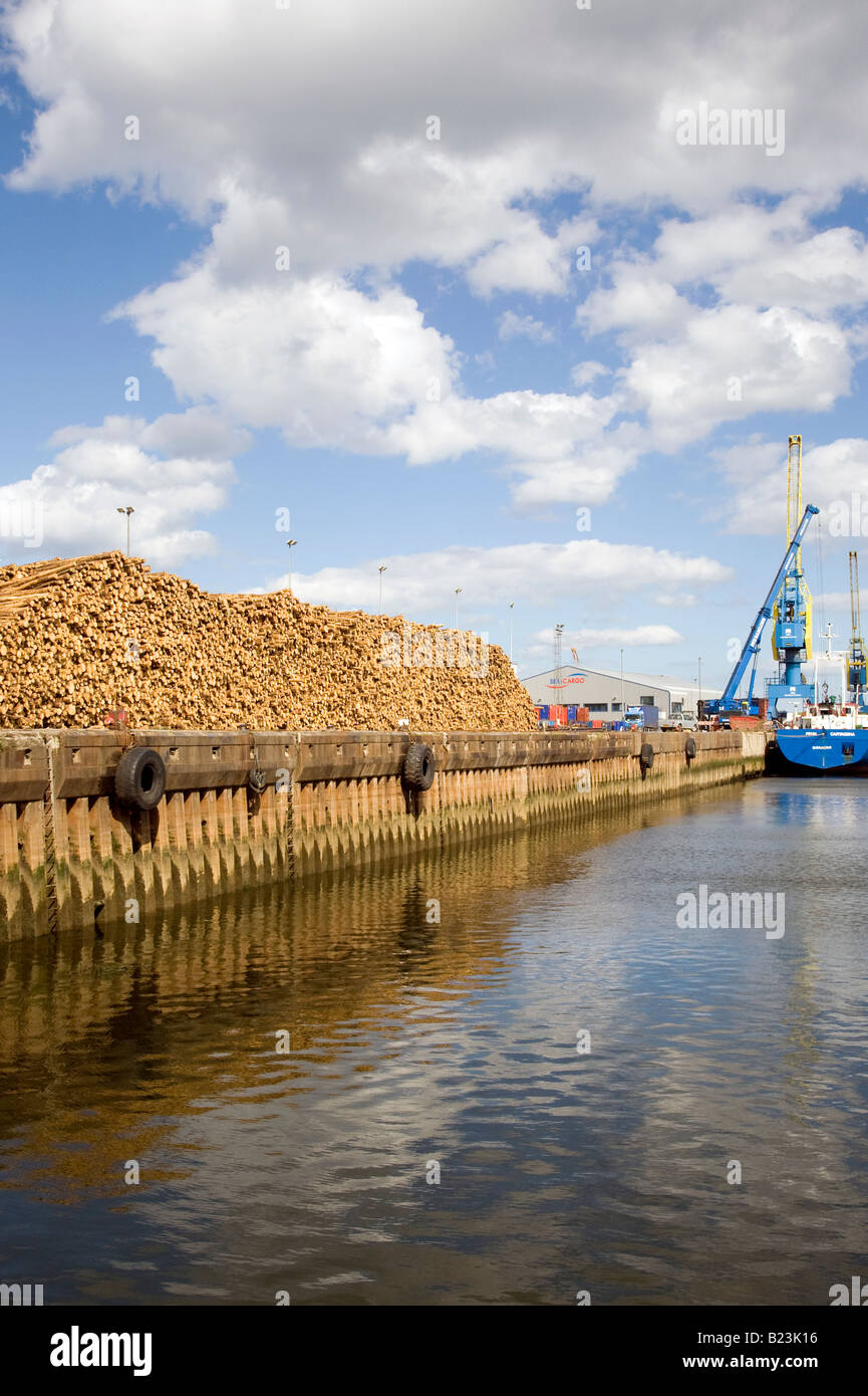Scottish Timber Exports The Quay at Aberdeen City Harbour, Scotland uk
