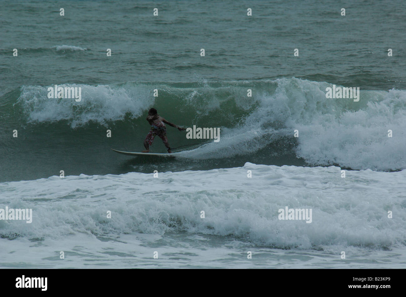 Surfing 360 GIF - Surfing 360 - Discover & Share GIFs