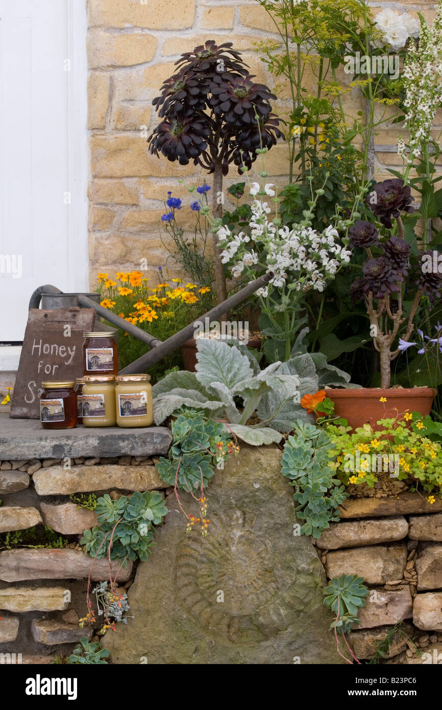 Mundy's Cottage Garden Winchester Growers, 2008 Hampton Court Palace